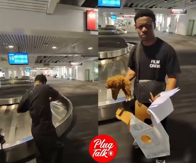 Thumbnail for Puppy Saved at Airport: Man GRABS His Dog Back After Realizing Buyer’s SHOCKING Plan to Fly with It in a #BuildABear Box!
