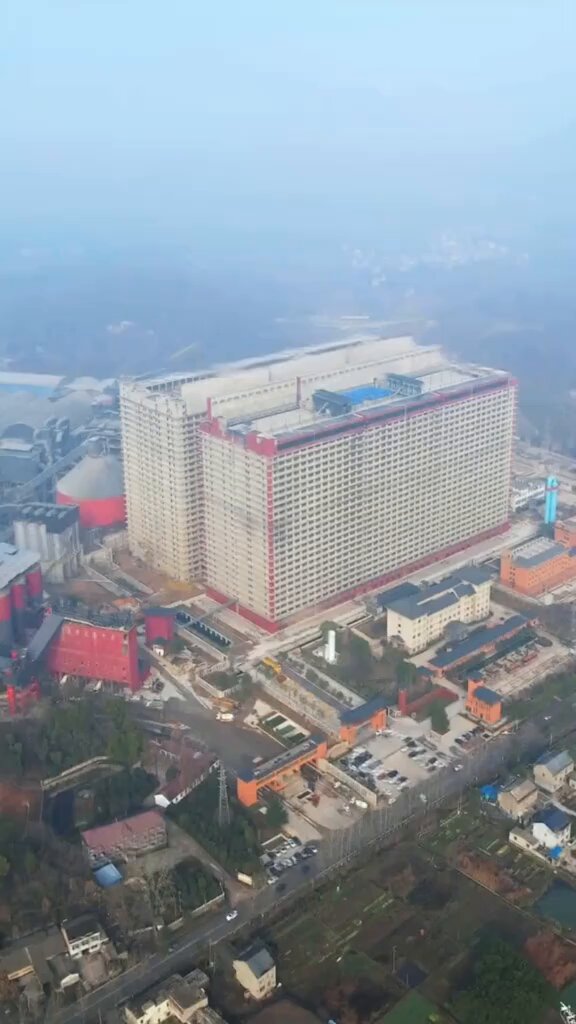 The Vertical Kingdom: Inside China's 26-Story Pork Production Megastructure thumbnail