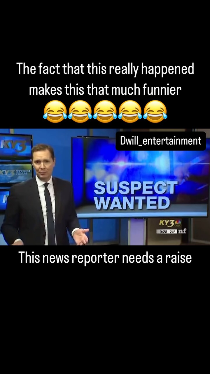 The fact that this really happened makes this that much funnier, This news reporter needs a raise