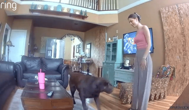 Just a girl playing with her dog thumbnail