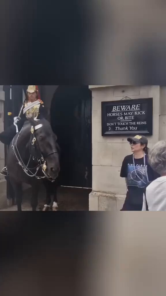 Bunch of People Next to a ‘Horse May Bite’ Sign Get Bit By a Horse thumbnail
