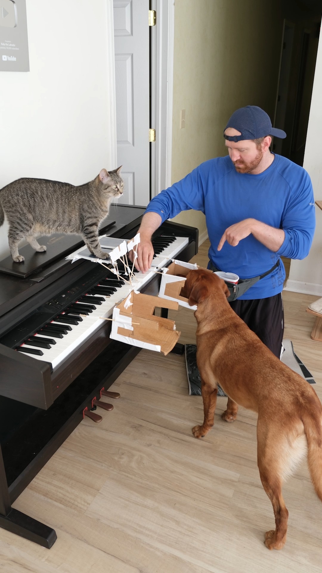 Thumbnail for The fact that the cat moves independently and the dog answering commands is so telling!