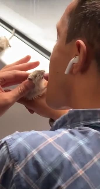 GROSS! Traveling with Pets: A Guide to Pet Care on Trains thumbnail