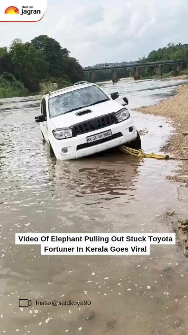 An elephant pulling out a stuck car thumbnail