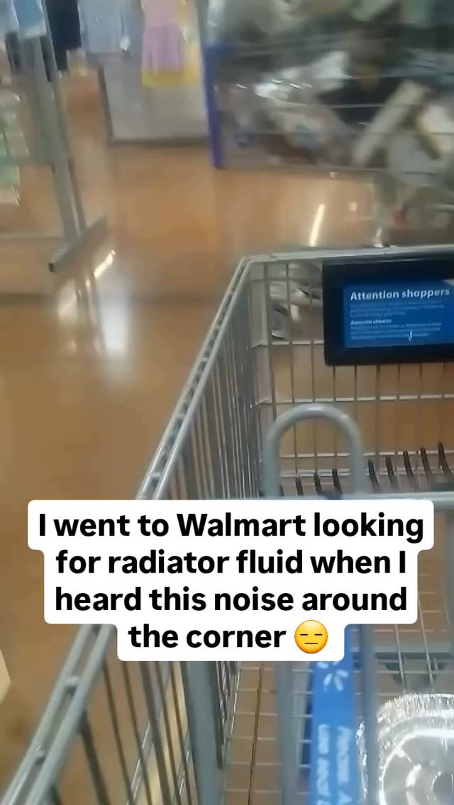 Guy goes to walmart, hears loud noise, follows sound