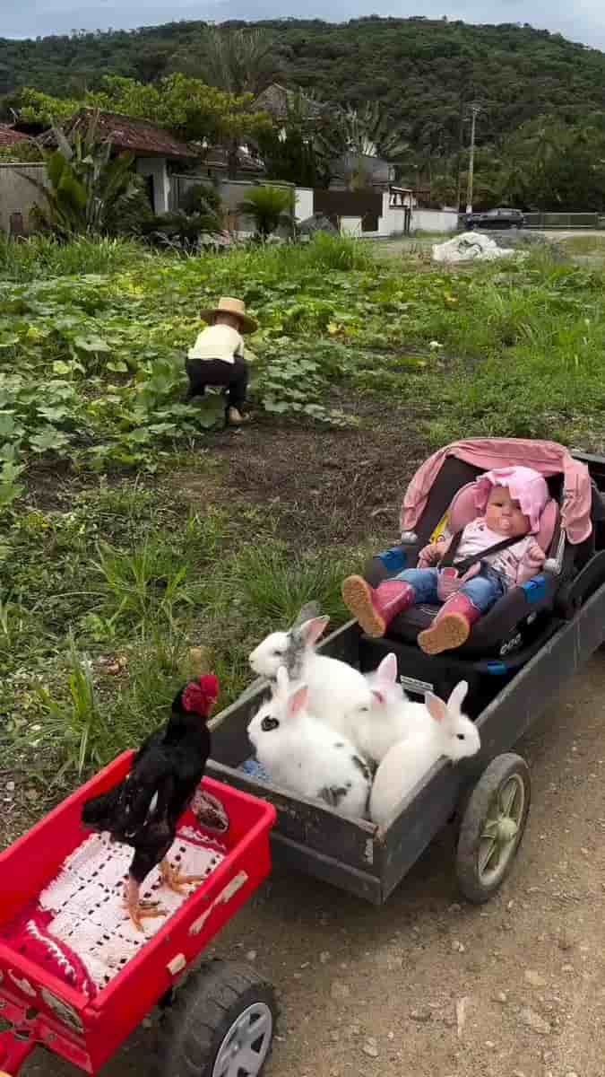 Bro is living my childhood dream