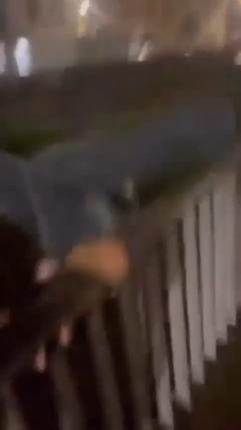 Dude Does Pull Ups On A Bridge, Then Falls Into The Water!