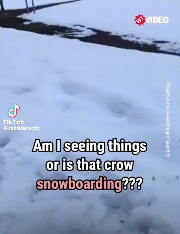 Crowboarding