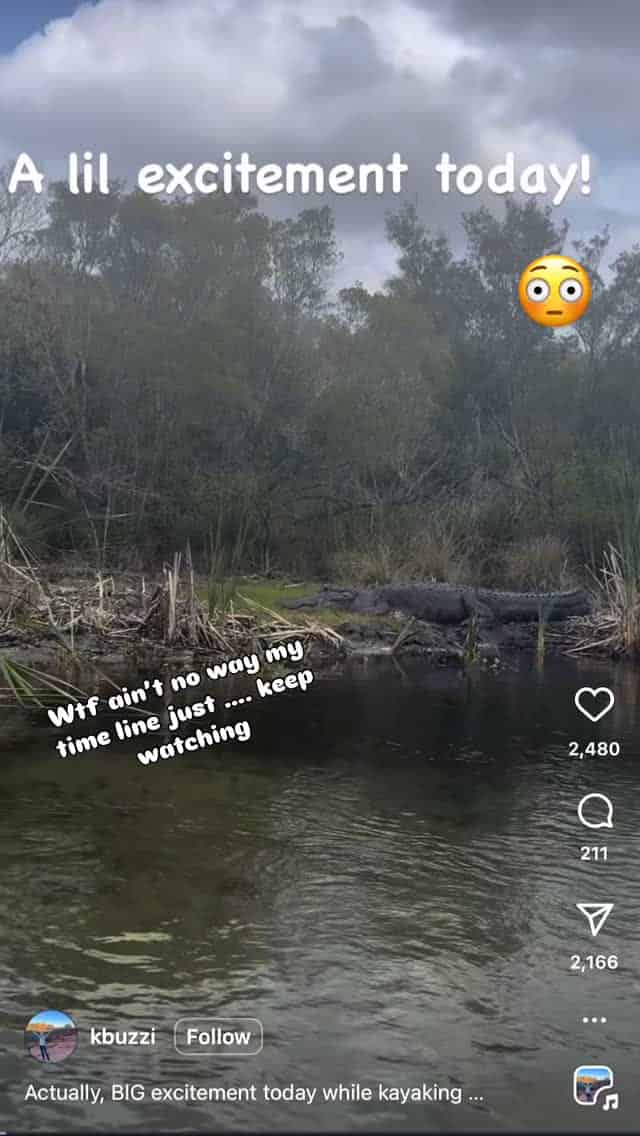 Woman In Florida K*lled By A Gator While Canoeing With Her Husband