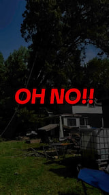 OH NO! Tree Falls ON a HOUSE!