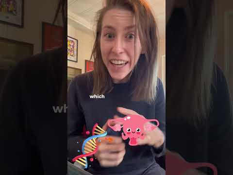 Identical twins explained by Eden Sher thumbnail