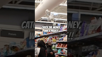 When he said "I got something I wanna say" You knew bro about to cook! thumbnail