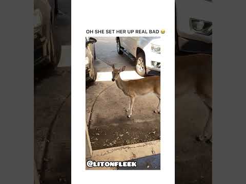 The girl used her cuteness to help get the young males fed. thumbnail