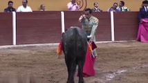 Revenge on the Matador thumbnail