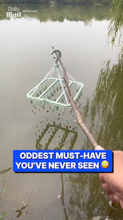 Perfect fishing setup thumbnail