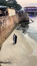 Man tries for a dive but flops on sandy shore 15 ft below thumbnail