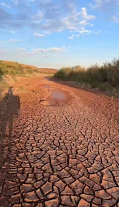 A man out riding with his horse witnesses the return of water after a long period of drought. thumbnail