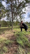 Friendly cheetah wants pets from a wildlife photographer! thumbnail
