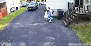 The dog was literally highlighted by a green box! How did she not see it? thumbnail