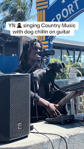 YN singing Country Music with dog chillin on guitar! thumbnail