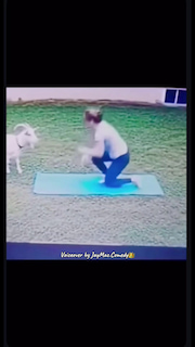 Yea he been waiting animals voiceover goat! thumbnail