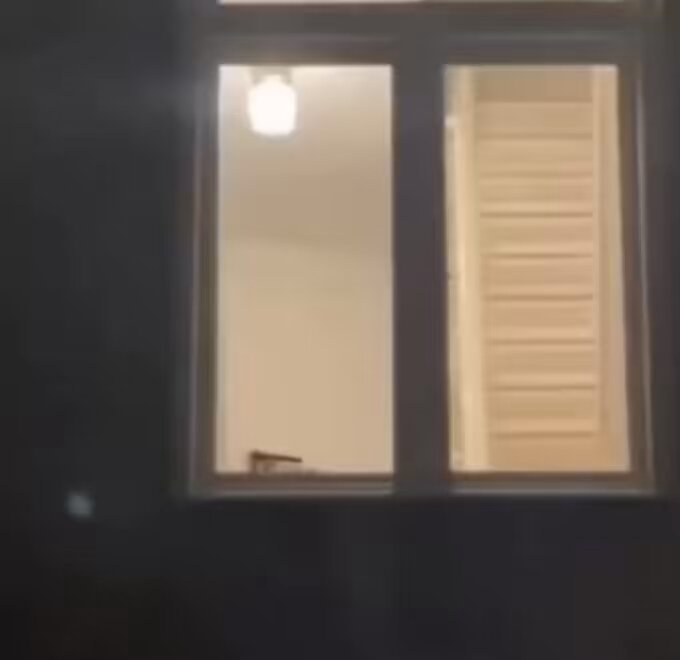 "Every night I see my neighbors' disabled dog going upstairs to bed, like this" thumbnail