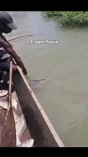 Papuan Fisherman thumbnail