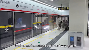 A Chinese YouTuber, Xing Zhilei of Xing’s World, built an incredibly detailed, working miniature subway system just for his cats. It includes moving trains, escalators, synchronized platform doors, and even humorous boarding announcements—earning massive praise for its creativity and affection