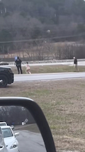 To catch the naked lady