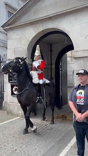 Tourist Decide to Ignore the White Lines thumbnail